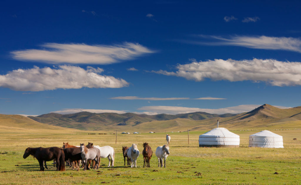 about Mongolia