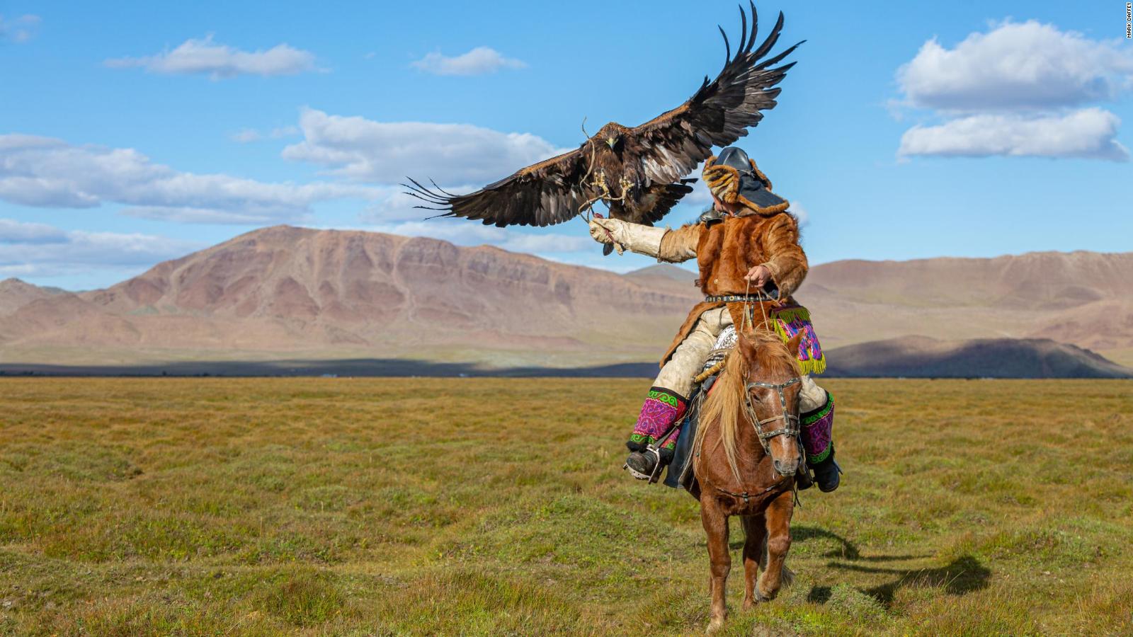 Eagle Falconry in Mongolia ( Eagle Hunting in Mongolia) – Bek Travel